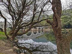 -贵阳市花溪国家城市湿地公园