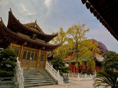 -上海东林寺(金山区)