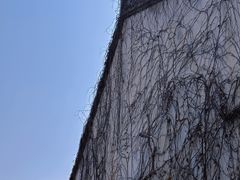 -青果巷历史文化街区