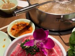 -掂档潮汕牛肉火锅(沈阳万象城店)
