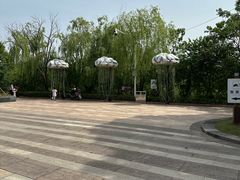 -长兴太湖图影湿地文化园