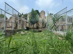 -临沂动植物园