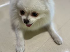 -Juicy Bakery(瑞景店)