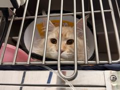 -良伴无忧宠物医院(泰欣嘉园店)