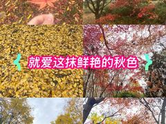 -洛阳市隋唐城遗址植物园