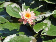 -漩门湾国家湿地公园