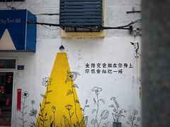 -溪岸路花鸟市场