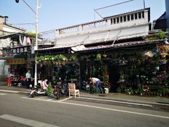 -溪岸路花鸟市场