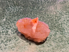 -鮨椿(瑞虹天地太阳宫店)