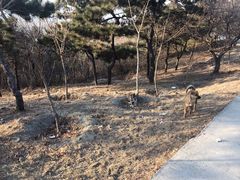 -香山公园