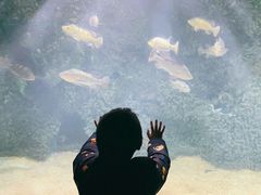 -泉城欧乐堡海洋极地世界