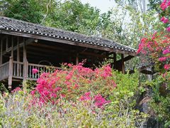 -深圳国际园林花卉博览园