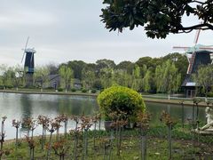 -上海鲜花港