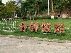 -金山植物公园