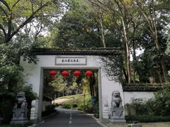 -东航云逸酒店(九溪烟树店)