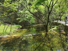 -牛背梁国家森林公园