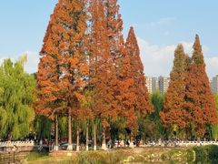 -温江公园