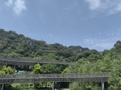 -福道