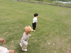 -前小桔亲子创意农场·草莓采摘·露营烧烤