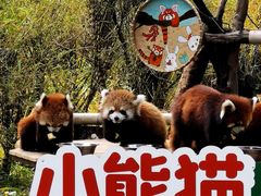 -广州动物园