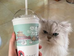 -伟伟宠物医院·CT影像中心·瑞派犬猫综合性门诊(汉口总院)