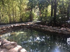 -深业半汤御泉庄温泉