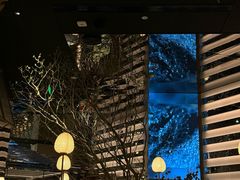 -桂满陇·海市蜃楼·黑金(国金店)