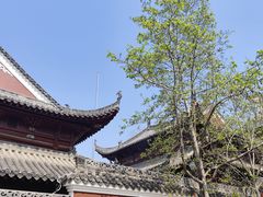 -长春观