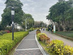 -立新湖公园