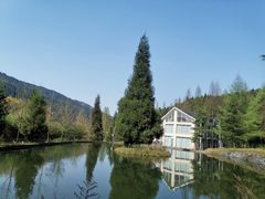 -武陵山森林公园