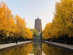 -玲珑塔公园