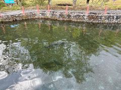 -丽江玉水寨