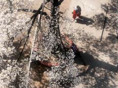 -华南师范大学(广州大学城校区)