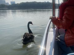 -昆山城市生态森林公园