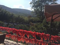 -陶祖圣境风景区