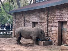 -郑州市动物园