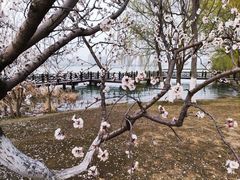 -云龙湖旅游景区