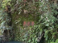 -十八棵（老龙井）御茶园(老龙井店)