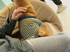 -怪兽屋·羊驼·猫咖·狗咖(俊华广场店)