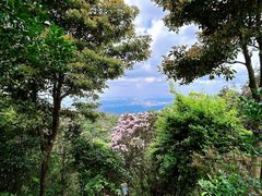 -梧桐山风景名胜区