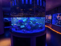 -上和臻品中国菜(花园街店)