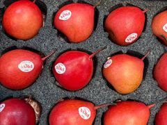 -上海龙吴水胜海发市场