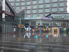 -恒生万鹂广场(唐镇店)