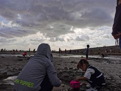 -南汇嘴观海公园