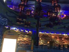 -青岛嘉年华主题乐园