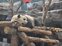 -鄂尔多斯野生动物园