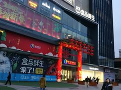 -盒马鲜生(莱蒙都会店)