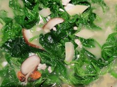 -大榕树下顺德菜(融创茂店)
