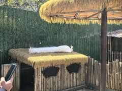 -保定市动物园