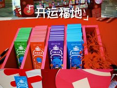 -鹏欣水游城